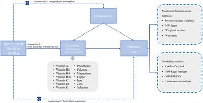 Assessing causal association of circulating micronutrients and systemic lupus erythematosus susceptibility: a Mendelian randomization study